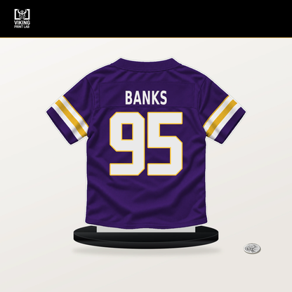 Caleb Banks number 95 Minnesota Vikings jersey stand with included black base.