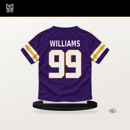Elijah Williams number 99 Minnesota Vikings jersey stand with included black base.