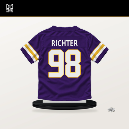 Bo Richter number 98 Minnesota Vikings jersey stand with included black base.