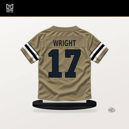Ryan Wright number 17 New Orleans Saints jersey stand with included black base.