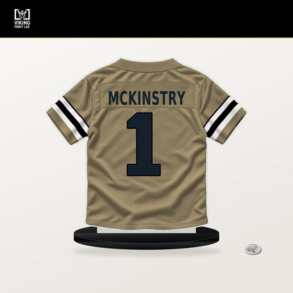 Kool-Aid McKinstry number 1 New Orleans Saints jersey stand with included black base.