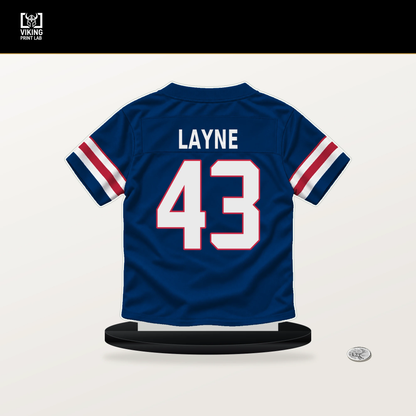 Raheem Layne number 43 New York Giants jersey stand with included black base.