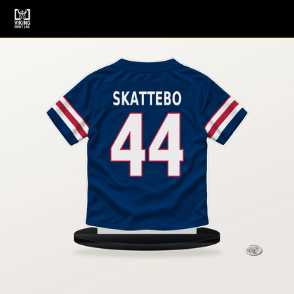 Cam Skattebo number 44 New York Giants jersey stand with included black base.