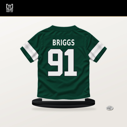 Jowon Briggs number 91 New York Jets jersey stand with included black base.