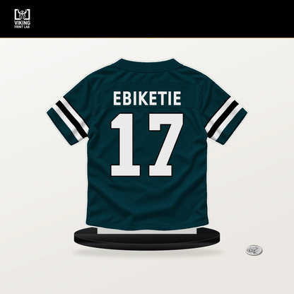 Arnold Ebiketie number 17 Philadelphia Eagles jersey stand with included black base.