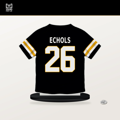 Brandin Echols number 26 Pittsburgh Steelers jersey stand with included black base.