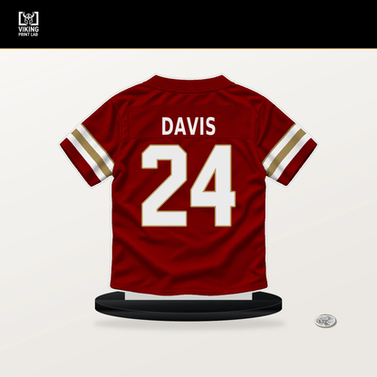 Ashtyn Davis number 24 San Francisco 49ers jersey stand with included black base.