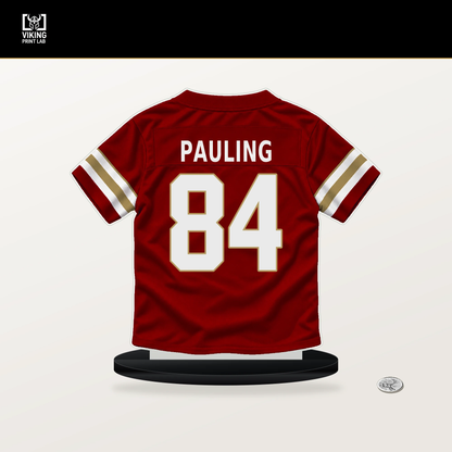 Will Pauling number 84 San Francisco 49ers jersey stand with included black base.