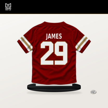 Jordan James number 29 San Francisco 49ers jersey stand with included black base.