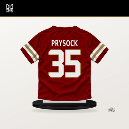 Ephesians Prysock number 35 San Francisco 49ers jersey stand with included black base.