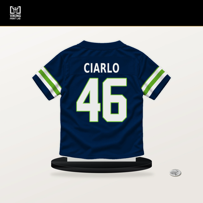 Jimmy Ciarlo number 46 Seattle Seahawks jersey stand with included black base.