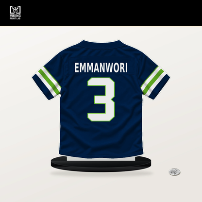 Nick Emmanwori number 3 Seattle Seahawks jersey stand with included black base.