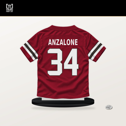 Alex Anzalone number 34 Tampa Bay Buccaneers jersey stand with included black base.