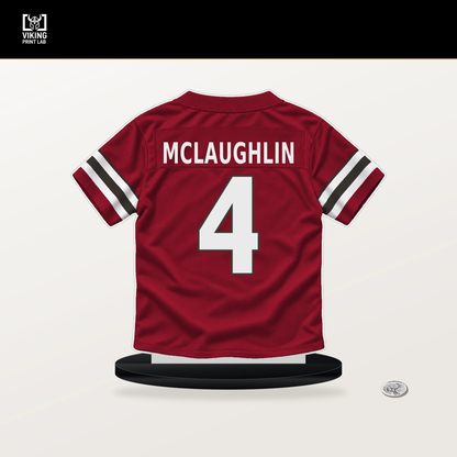 Chase McLaughlin number 4 Tampa Bay Buccaneers jersey stand with included black base.