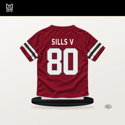 David Sills V number 80 Tampa Bay Buccaneers jersey stand with included black base.