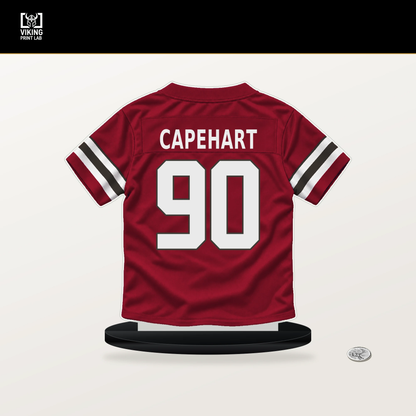 DeMonte Capehart number 90 Tampa Bay Buccaneers jersey stand with included black base.