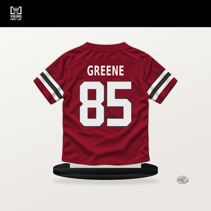 Garrett Greene number 85 Tampa Bay Buccaneers jersey stand with included black base.