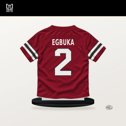 Emeka Egbuka number 2 Tampa Bay Buccaneers jersey stand with included black base.
