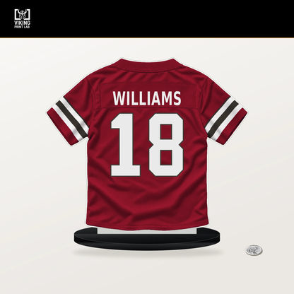 Josh Williams number 18 Tampa Bay Buccaneers jersey stand with included black base.