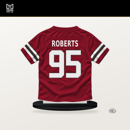 Elijah Roberts number 95 Tampa Bay Buccaneers jersey stand with included black base.