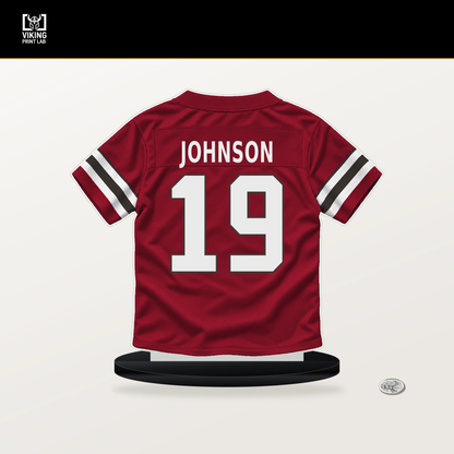 Kameron Johnson number 19 Tampa Bay Buccaneers jersey stand with included black base.