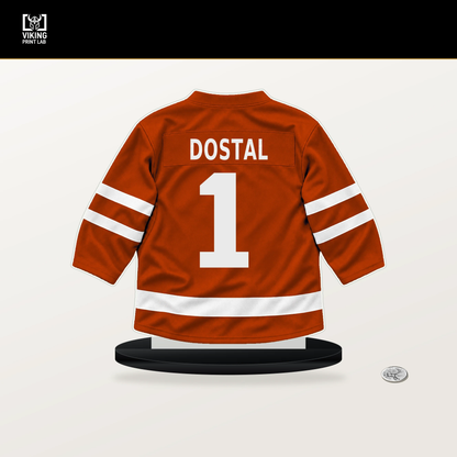 Lukas Dostal number 1 Anaheim Ducks jersey stand with included black base.