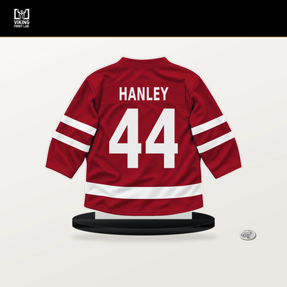 Joel Hanley number 44 Calgary Flames jersey stand with included black base.