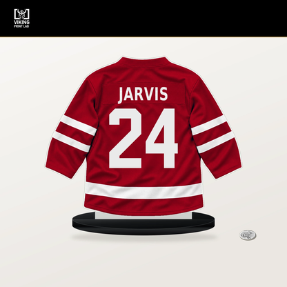 Seth Jarvis number 24 Carolina Hurricanes jersey stand with included black base.