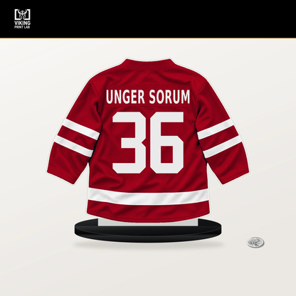 Felix Unger Sorum number 36 Carolina Hurricanes jersey stand with included black base.