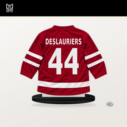 Nicolas Deslauriers number 44 Carolina Hurricanes jersey stand with included black base.