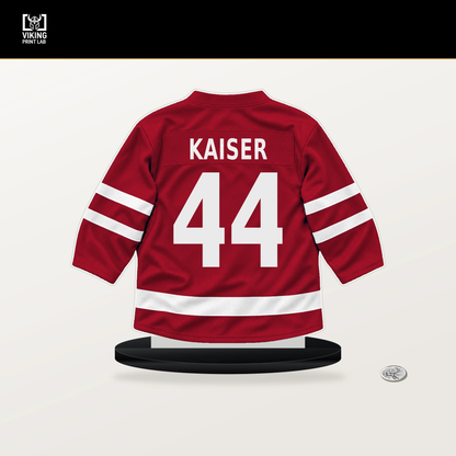 Wyatt Kaiser number 44 Chicago Blackhawks jersey stand with included black base.