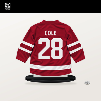 Ian Cole number 28 Chicago Blackhawks jersey stand with included black base.