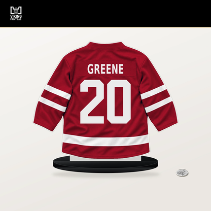 Ryan Greene number 20 Chicago Blackhawks jersey stand with included black base.