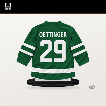 Jake Oettinger number 29 Dallas Stars jersey stand with included black base.
