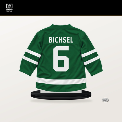 Lian Bichsel number 6 Dallas Stars jersey stand with included black base.