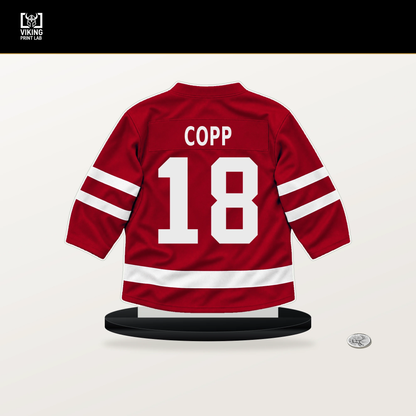 Andrew Copp number 18 Detroit Red Wings jersey stand with included black base.