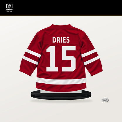 Sheldon Dries number 15 Detroit Red Wings jersey stand with included black base.