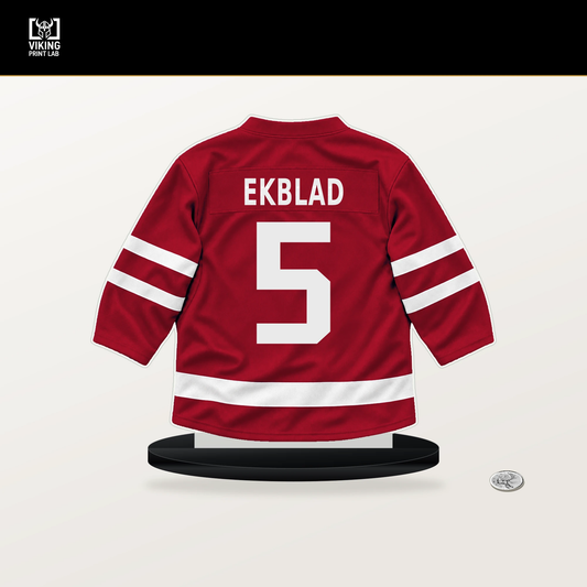 Aaron Ekblad number 5 Florida Panthers jersey stand with included black base.