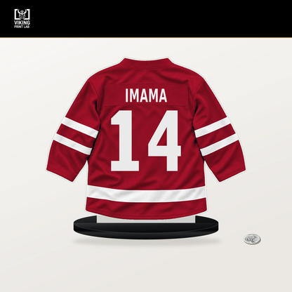 Bokondji Imama number 14 Florida Panthers jersey stand with included black base.