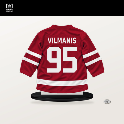 Sandis Vilmanis number 95 Florida Panthers jersey stand with included black base.