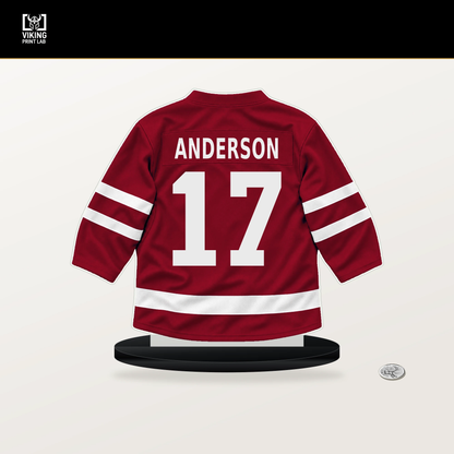 Josh Anderson number 17 Montreal Canadiens jersey stand with included black base.