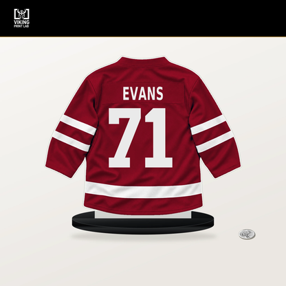 Jake Evans number 71 Montreal Canadiens jersey stand with included black base.
