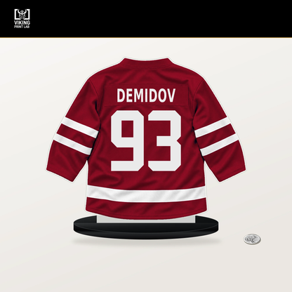 Ivan Demidov number 93 Montreal Canadiens jersey stand with included black base.