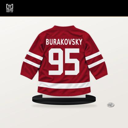 Andre Burakovsky number 95 Ottawa Senators jersey stand with included black base.