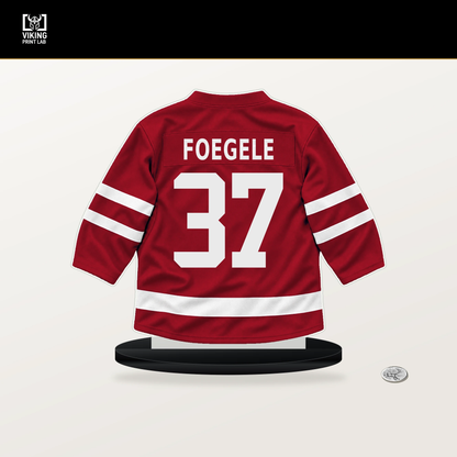 Warren Foegele number 37 Ottawa Senators jersey stand with included black base.