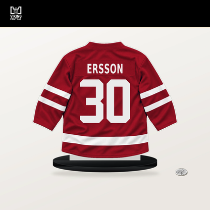 Samuel Ersson number 30 Ottawa Senators jersey stand with included black base.