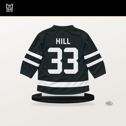Adin Hill number 33 Vegas Golden Knights jersey stand with included black base.