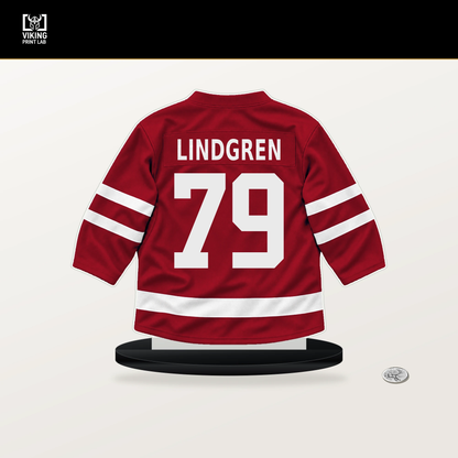 Charlie Lindgren number 79 Washington Capitals jersey stand with included black base.