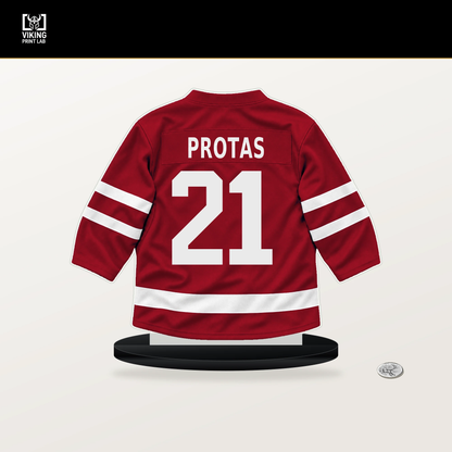 Aliaksei Protas number 21 Washington Capitals jersey stand with included black base.