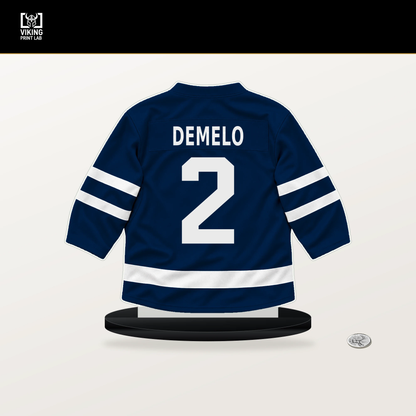 Dylan DeMelo number 2 Winnipeg Jets jersey stand with included black base.